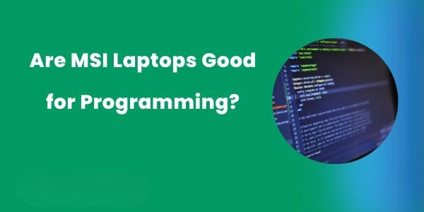 Are MSI Laptops Good for Programming