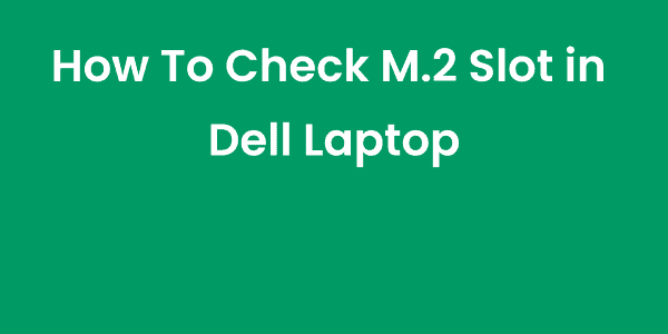 How To Check M.2 Slot in Dell Laptop