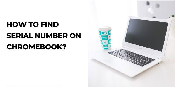How to Find Serial Number on Chromebook if Sticker is Missing